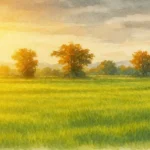 How I Found My Perfect Plot at Spiti Palm Estate Sector 3 Farukhnagar?